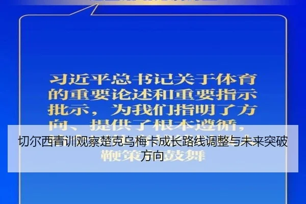 切尔西青训观察楚克乌梅卡成长路线调整与未来突破方向